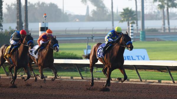 2026 Kentucky Derby Prospect Profile: Litmus Test for Los Alamitos Futurity Winner