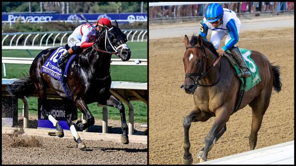 A flash of brilliance or a consistent winner? Sprint Eclipse Award Debate Says Much About Race