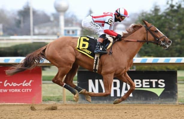 Best fully subscribed on Comely