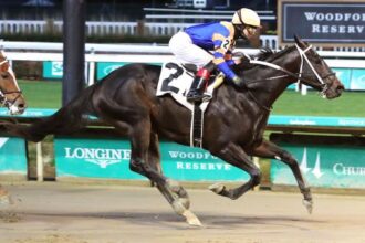 Bet on speed in the 2025 Gunrunner Stakes