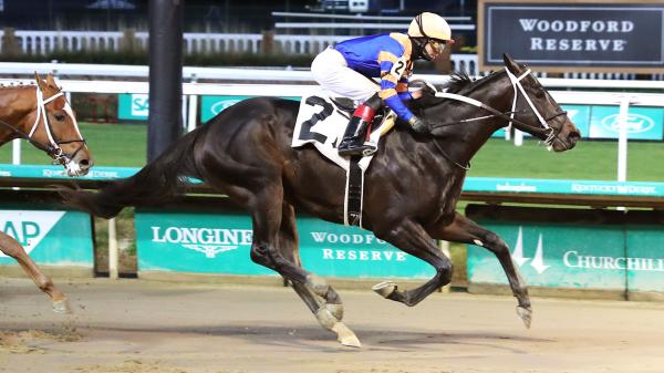 Bet on speed in the 2025 Gunrunner Stakes