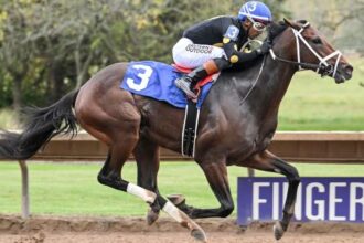 Bet on the Beast of the Remington Springboard Mile