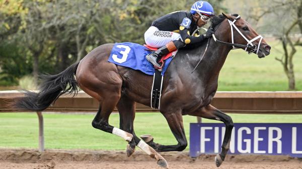 Bet on the Beast of the Remington Springboard Mile