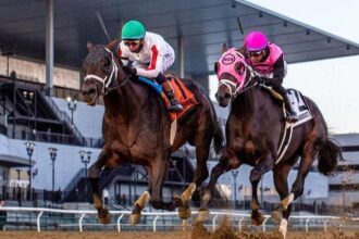 Bishop's Bay beats Mika in Cigar Mile, Paladin tops Remsen's 2-year-old