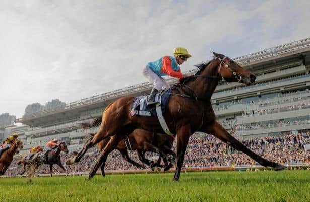 Breeder looks back on top sprinter Cain Rising's journey