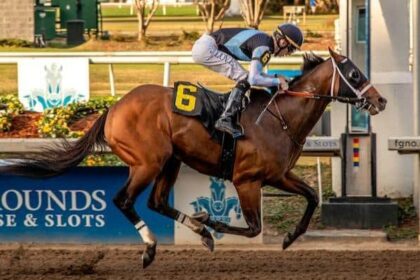 Built on return with impressive win at Fairgrounds