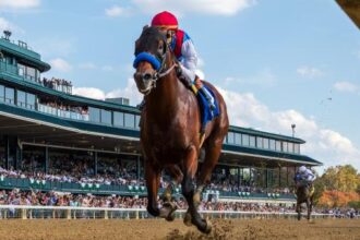 Burns is poised for victory in Malibu S.