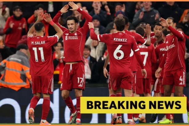 Liverpool are eyeing a 'fantastic' star who could be the ideal successor to club legend