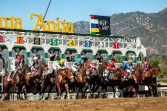 California-raised players have more opportunities at Santa Anita