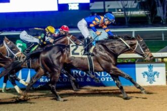 Chip Honcho gives Asmussen his third Gun Runner win.