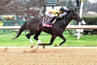 Counting Stars close out year with year-end win