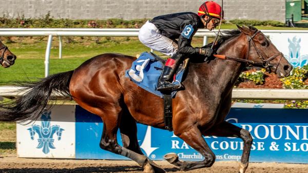 Dec. 30 Rookie Rankings: Top 2026 Kentucky Derby Contenders