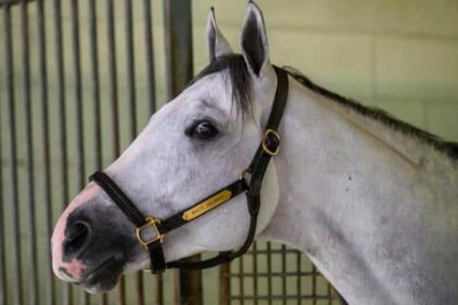 Don't worry about it this weekend. White Avario has a bigger story.