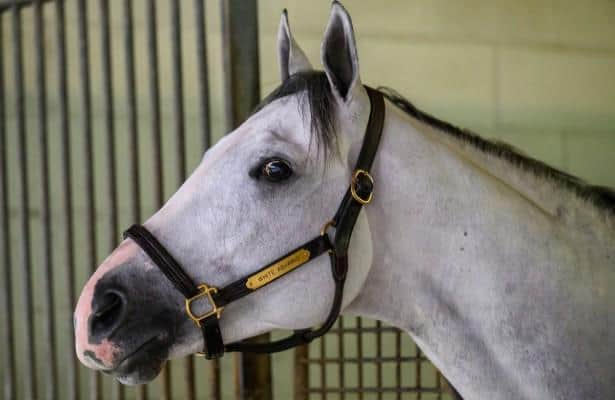 Don't worry about it this weekend. White Avario has a bigger story.