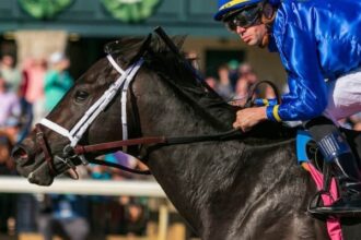 Encino headlines Prairie Bayou Saturday