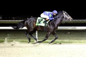 Encino is the best in Prairie Bayou on Sunday.