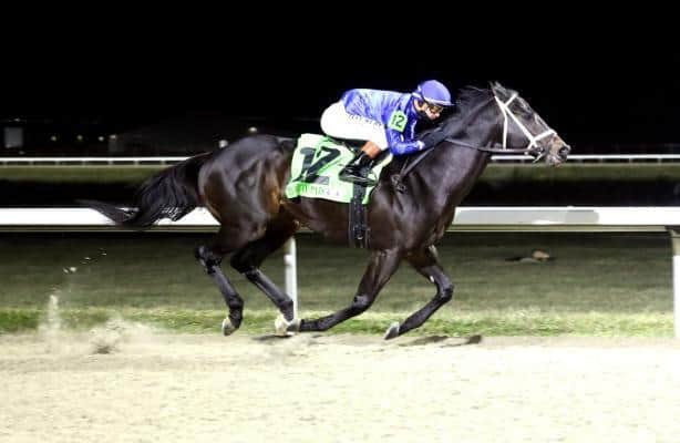 Encino is the best in Prairie Bayou on Sunday.