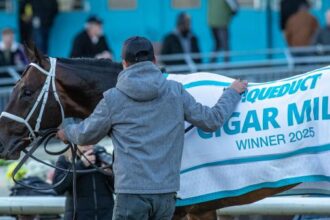 Equibase Leader: Irad Ortiz Jr. sets single-season record as big day in Big A makes impact