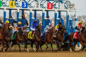 Expecting a “believable” result in the 2026 Dumoiselle Stakes