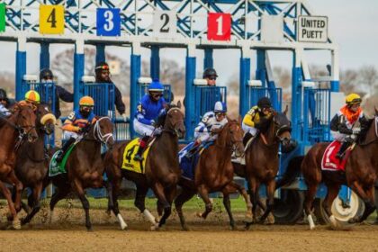 Expecting a “believable” result in the 2026 Dumoiselle Stakes