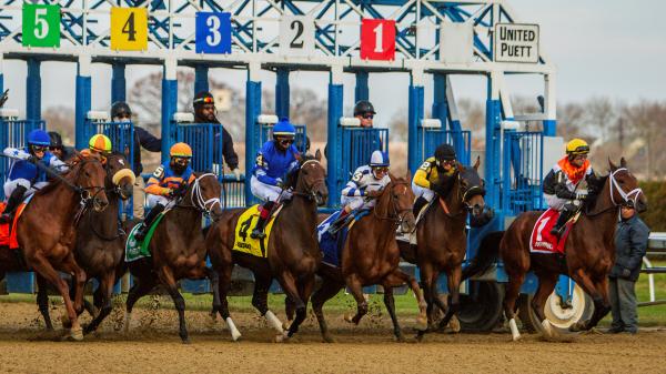 Expecting a “believable” result in the 2026 Dumoiselle Stakes