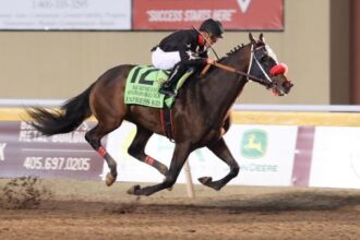 Express Kid joins Kentucky Derby trail with upset in Springboard Mile