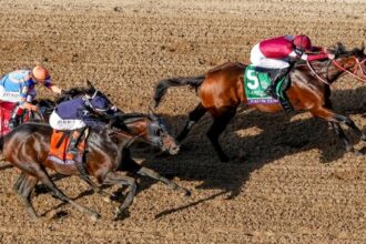 Forever Young or Not Forever Young: The Older Dirt Stallion Eclipse Award Conundrum