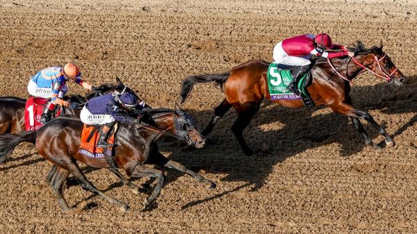 Forever Young or Not Forever Young: The Older Dirt Stallion Eclipse Award Conundrum