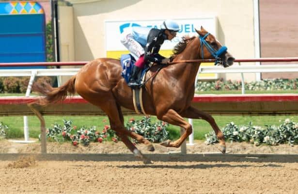 Formula Rossa makes first Grade 1 attempt at La Brea