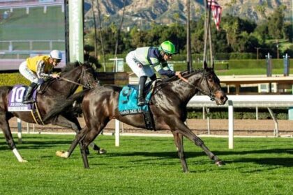 Gas Me Up Speeds Home to Beat Joe Hernandez