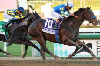 Goal Oriented wins Malibu Stakes and becomes centerpiece of Santa Anita's opening card