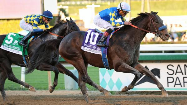 Goal Oriented wins Malibu Stakes and becomes centerpiece of Santa Anita's opening card