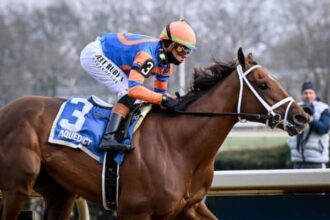 Gypse ranked in top 10 fillies