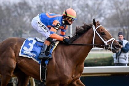 Gypse ranked in top 10 fillies