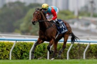 Hong Kong's three horse kings shine in Sha Tin
