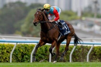 Hong Kong's three horse kings shine in Sha Tin