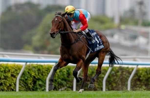 Hong Kong's three horse kings shine in Sha Tin