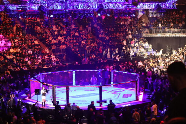 UFC Cage Octagon (2)