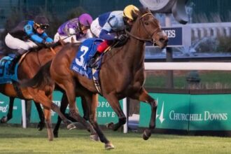 Kehoe Beach leads major prize winners in tab