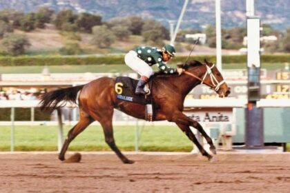 Landaruche Unforgettable brilliance, unimaginable heartbreak