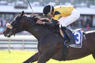 Lauderdale Stakes where Cousino has a slight advantage with wide open feet.