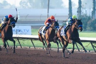 Litmus test takes first place in the West Division