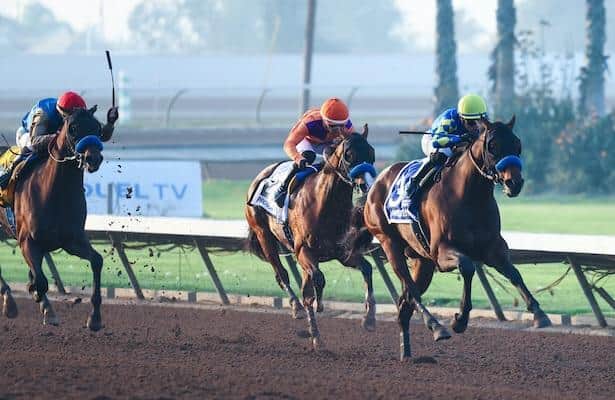 Litmus test takes first place in the West Division