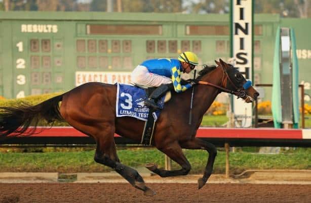 Los Alamitos Futurity litmus test score