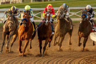 Main candidates for winning the 2025 Malibu Stakes