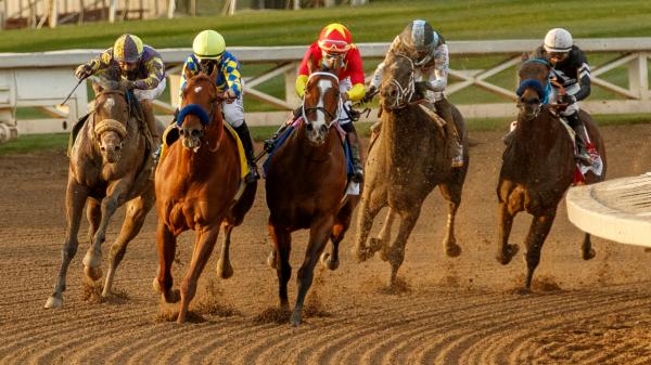 Main candidates for winning the 2025 Malibu Stakes