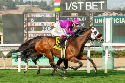 Motor lead spills out of the field for Joe Hernandez