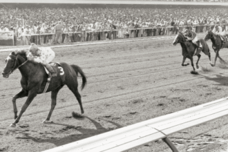 Native Diver: California-born horse racing superstar