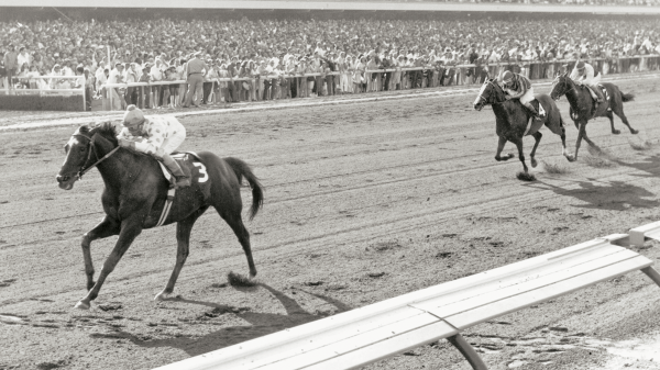 Native Diver: California-born horse racing superstar