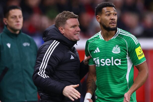 Newcastle's failure was 'a huge overpayment'